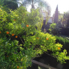 Отель Spacious 700m2 villa, Golfers paradise., фото 32