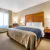 Отель Comfort Inn & Suites, фото 5