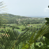 Отель Rainforest & Ocean View Inn At Carabali, фото 12