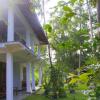 Отель girilena resort в Дамбулле