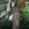 Отель Cvita - 150 m From Pebble Beach - SA1, фото 6