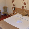 Отель Pensiunea Ayana, фото 4