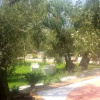 Отель B&B Apollo, фото 23