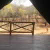 Отель African Elegance Tented Lodge, фото 5