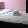 Отель Dreambox Oxeraak Tan Binh Hostel, фото 7