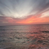 Отель Tortuga Beach Lovely 2 bed Apartment and Gardens, фото 12