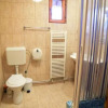 Отель Pensiunea Arinul, фото 9