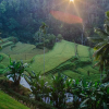 Отель Suarapura Resort and SPA, фото 4