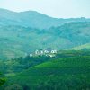 Отель White Stone Cottage Vagamon by Voye Homes, фото 13