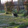 Отель Agriturismo La Colombaia, фото 13