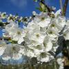 Отель Ferienwohnung Rudis Obstgarten, фото 18