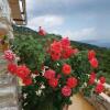 Отель Pelion Villa Alkistis Myth and Magic, фото 33