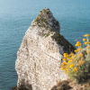 Отель Les Tilleuls Etretat, фото 20