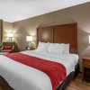 Отель Comfort Inn & Suites Cedar Rapids North - Collins Road, фото 42