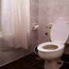 Отель Sara Inn, фото 12