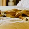 Отель Sonesta Simply Suites Boston Braintree, фото 20