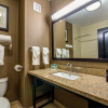 Отель Holiday Inn Arlington NE-Rangers Ballpark, an IHG Hotel, фото 8