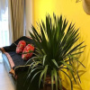 Отель Ecopark Apartment Hung yen, фото 20