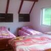 Отель Pensiunea Anidor, фото 4