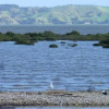 Отель Oystercatcher Bay Boathouse, фото 9
