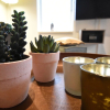 Отель Beautifully Furnished Holiday Home With hot tub and Large Garden on the Veluwe, фото 10