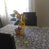 Отель Pousada dos Pássaros Q2, фото 4