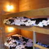 Отель GENTIANES 8p La Clusaz skis aux pieds, фото 10
