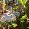 Отель Faith Glamping Dome Costa Rica, фото 20