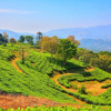 Отель Annapara Homestay, фото 32