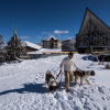 Отель Okushiga Kogen Hotel, фото 12