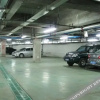 Отель Yourong Hotel (Harbin Convention and Exhibition Center Longta Branch), фото 29