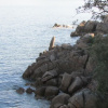 Отель Cala Verghia, фото 29