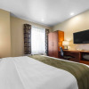 Отель Quality Inn San Jose Airport/Silicon Valley, фото 25