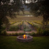 Отель Denneboom Vineyards and Wildlife, фото 23