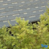 Отель SNOW Mountain Apartment WANKE LAKE SONGHUA RESORT, фото 3