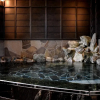 Отель Dogo Onsen Ryokan Tokiwaso, фото 6
