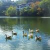 Отель Lakeside Spendtime B&B, фото 13
