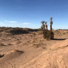 Отель Bivouac Joudour Sahara, фото 7