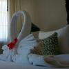 Отель Casa Sirena Hotel - Adults Only, фото 27
