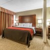 Отель Comfort Inn & Suites Denver, фото 16
