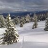 Отель Gasthof Sauschneideralm (Maier Helene Katharina), фото 16