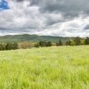Отель Quiet Farmhouse on 77 Acres Near Shenandoah River!, фото 19