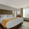 Отель Comfort Inn, фото 3
