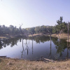 Отель Vraksh Resort, фото 10