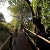 Отель Sanctuary Sussi & Chuma, фото 33