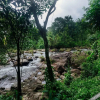 Отель OYO 9725 Hotel Misty River, фото 15
