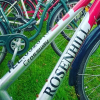 Отель Rosenhill Bed & Breakfast, фото 7