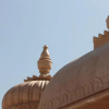 Отель Ramsingh Palace, фото 22