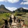 Отель Simbavati Cederberg Ridge, фото 23