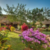 Отель Orchid Bay Resort, фото 14